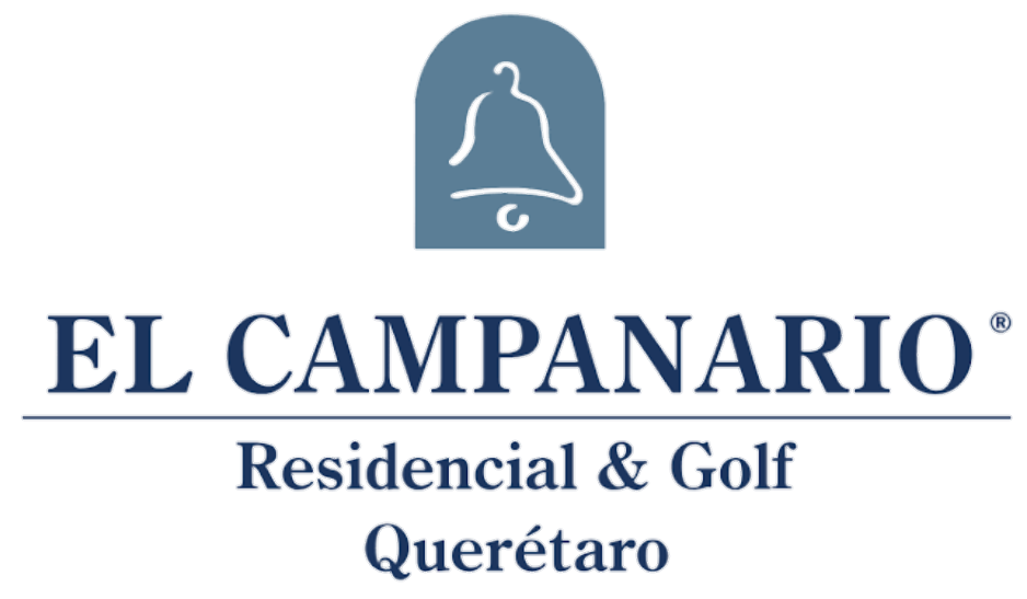 Cliente 16